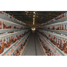 Galvanized H Type Chicken Layer Cage